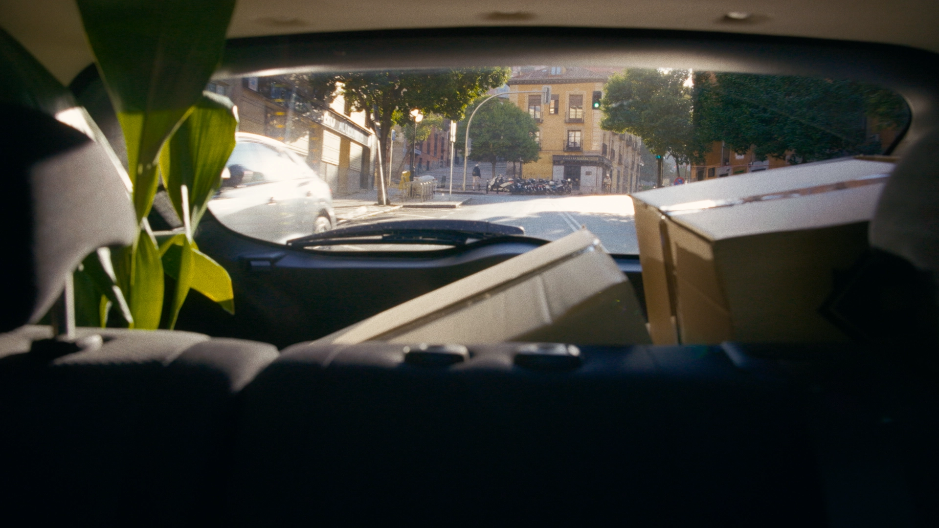 Mitad de tu armario 1